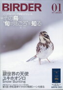 BIRDER (バーダー) 2021年 01月号 [雑誌]