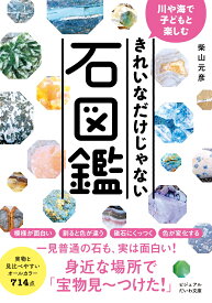 きれいなだけじゃない石図鑑 川や海で子どもと楽しむ （だいわ文庫　ビジュアルだいわ文庫） [ 柴山元彦 ]