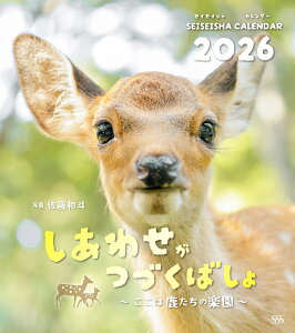 킹Â΂ `͎̊y` J_[2026 [ al ]