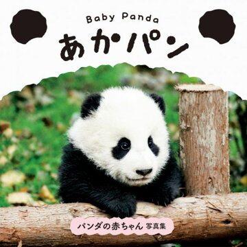 本 写真集 タレント 週間ランキング 動物 自然 楽天ブックス
