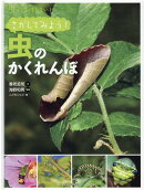 さがしてみよう! 虫のかくれんぼ