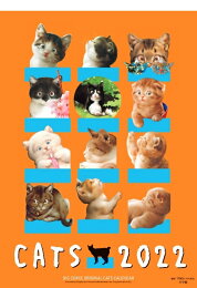 楽天ブックス: CATS-村松誠 