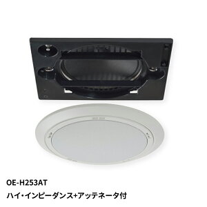 MASSIVE VXs[J[ OE-H253AT nCECs[_X+Abel[^t