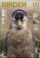 BIRDER (バーダー) 2025年 1月号 [雑誌]
