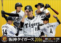 卓上 阪神タイガースチーム週めくり 2016年 カレンダー