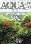 月刊 AQUA LIFE (アクアライフ) 2026年 1月号 [雑誌]
