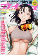 週刊プレイボーイPREMIUM 2025下半期グラビア傑作選 2026年 1/1号 [雑誌]