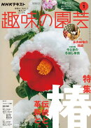 NHK 趣味の園芸 2026年 1月号 [雑誌]
