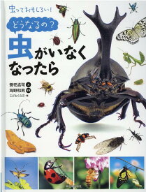 楽天市場 昆虫採集標本の通販