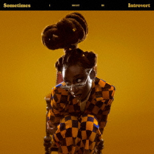 Sometimes I Might Be Introvert [ Little Simz ]
