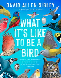 What It's Like to Be a Bird (Adapted for Young Readers): From Flying to Nesting, Eating to Singing-- WHAT ITS LIKE TO BE A BIRD (AD [ David Allen Sibley ]