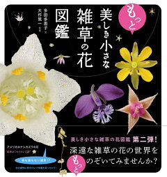 楽天ブックス 美しき小さな雑草の花図鑑 大作晃一 本