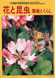 楽天ブックス: 野や庭の昆虫 - 中山周平 - 9784092140325 : 本