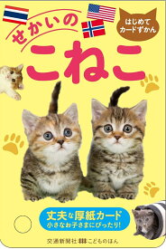 せかいのこねこ （はじめてカードずかん） [ 小川晃代 ]