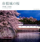 彦根城の桜