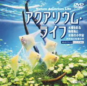 楽天ブックス: virtual trip 北海道・夏 【Blu-ray】 - (BGV  