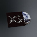 AWE (初回盤 Regular ver.)