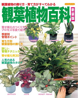 楽天ブックス テキストプロが教える庭木の剪定 管理 図解写真 齋藤進 本