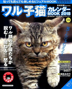 qLJ_[MOOKi2018j iSUN-MAGAZINE@MOOKj [ 앝r ]