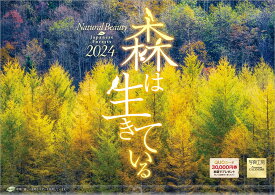 『森は生きている』 2024 カレンダー 壁掛け 風景 【420×297mm 透明ホルダー付】 （写真工房カレンダー）