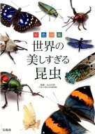 原色図鑑世界の美しすぎる昆虫 [ 丸山宗利 ]