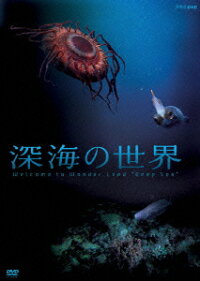 楽天ブックス 深海の世界 Bgv Dvd