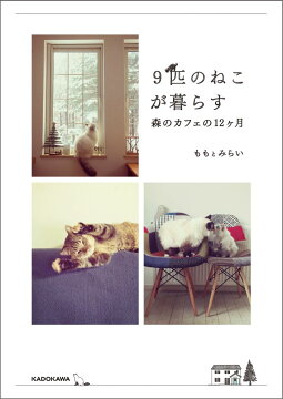 本 写真集 タレント 週間ランキング 動物 自然 楽天ブックス