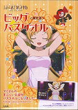 劇場版魔法少女まどか☆マギカ新編叛逆の物語ビッグバスタオル付限定版