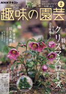 NHK 趣味の園芸 2026年 2月号 [雑誌]