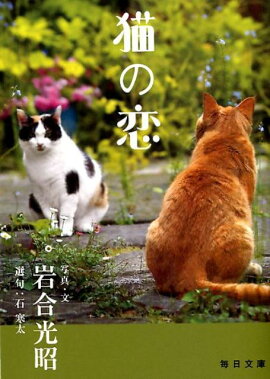楽天ブックス ねこ Diary Schedule 岩合光昭 本