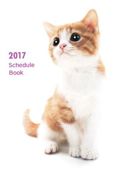 Schedule　Book　CAT（2017）