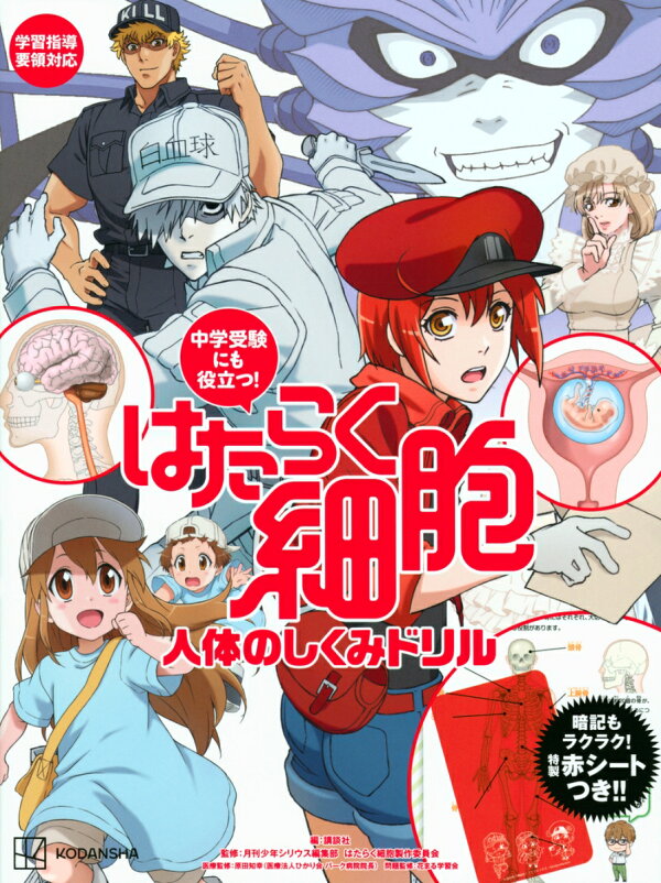 楽天ブックス: 中学受験にも役立つ！ はたらく細胞 人体のしくみドリル 
