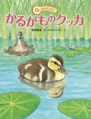 かるがものクッカ