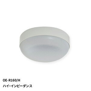 MASSIVE VXs[J[ OE-R160/H nCECs[_X