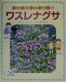 お花がさいたやさいができた(3)