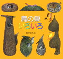 鳥の巣いろいろ