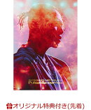 【楽天ブックス限定先着特典】SHOTA SHIMIZU LIVE TOUR 2025 'Pulsatilla cernua'(初回仕様限定盤)(オリジナルアクリルキーホルダー)