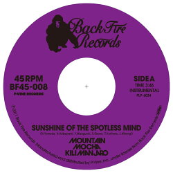 Sunshine　of　the　Spotless　Mind【アナログ盤】