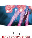【楽天ブックス限定先着特典】ヤマトよ永遠に REBEL3199 4【Blu-ray】(場面写真使用ビジュアルシート5枚セット)