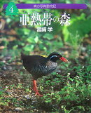 亜熱帯の森