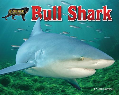 楽天ブックス: Bull Shark - Ellen Lawrence - 9781684020355 : 洋書