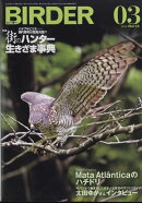 BIRDER (バーダー) 2025年 3月号 [雑誌]