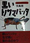 黒いトノサマバッタ