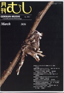月刊 むし 2026年 3月号 [雑誌]