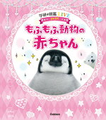 楽天ブックス もふもふ動物 今泉忠明 本