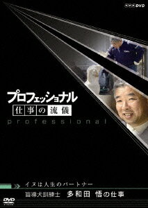 �ץ��ե��å���ʥ� �Ż���ή������Ƴ�������� ¿���ĸ�λŻ�