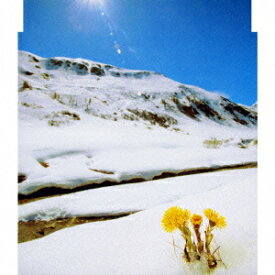 楽天市場 あの花 Cd Dvd の通販 楽天市場 あの花 Cd Dvd の通販