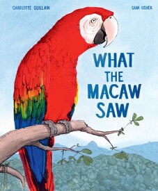 What the Macaw Saw WHAT THE MACAW SAW [ Charlotte Guillain ]