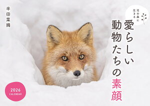 �k�̐X�ɐ����鈤�炵�����������̑f��J�����_�[ 2026 [ ���c �ؓE ]