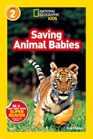 Saving Animal Babies SAVING ANIMAL BABIES （Readers） [ Amy Shields ]